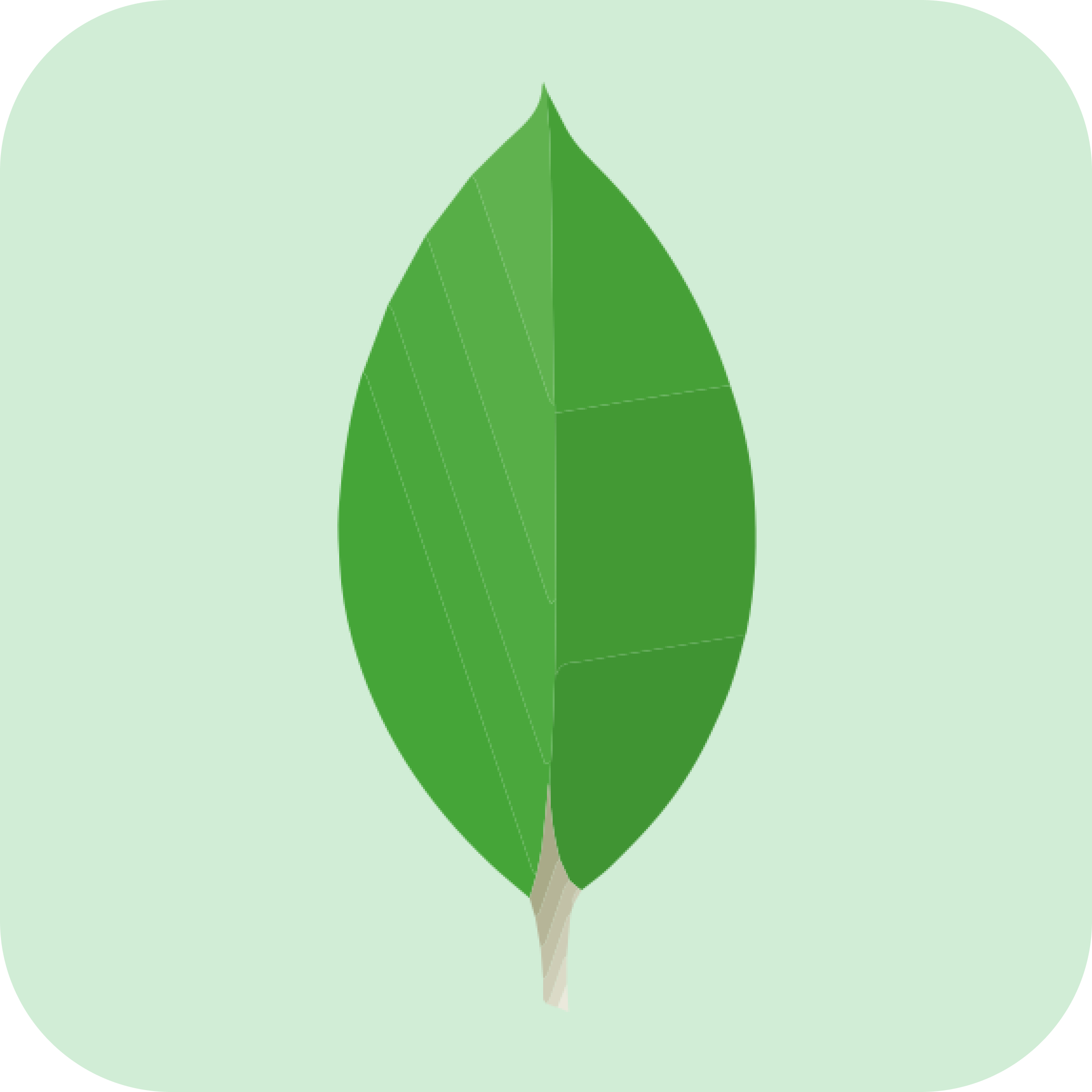 MongoDB